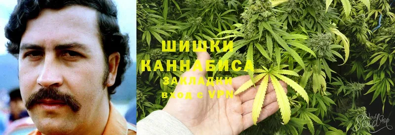 Каннабис Amnesia  Новосокольники 